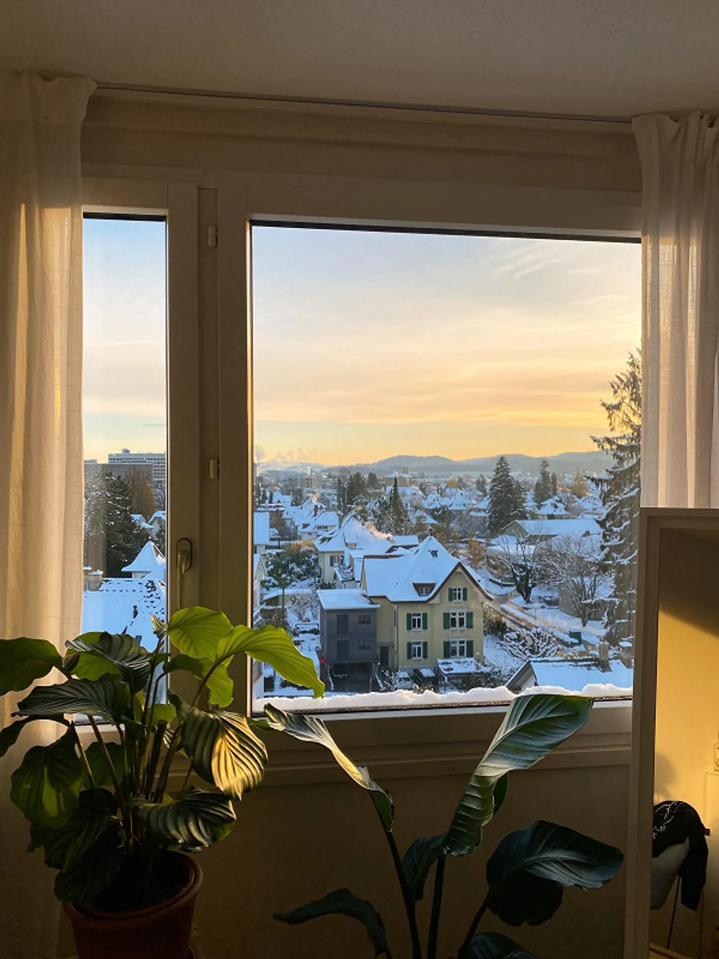 Appartamento 4.5 stanze - Foto 2 di 7