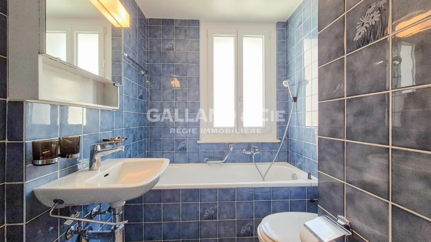 2,5-Zimmer-Wohnung im Stadtteil Faverges - Foto 4 von 8