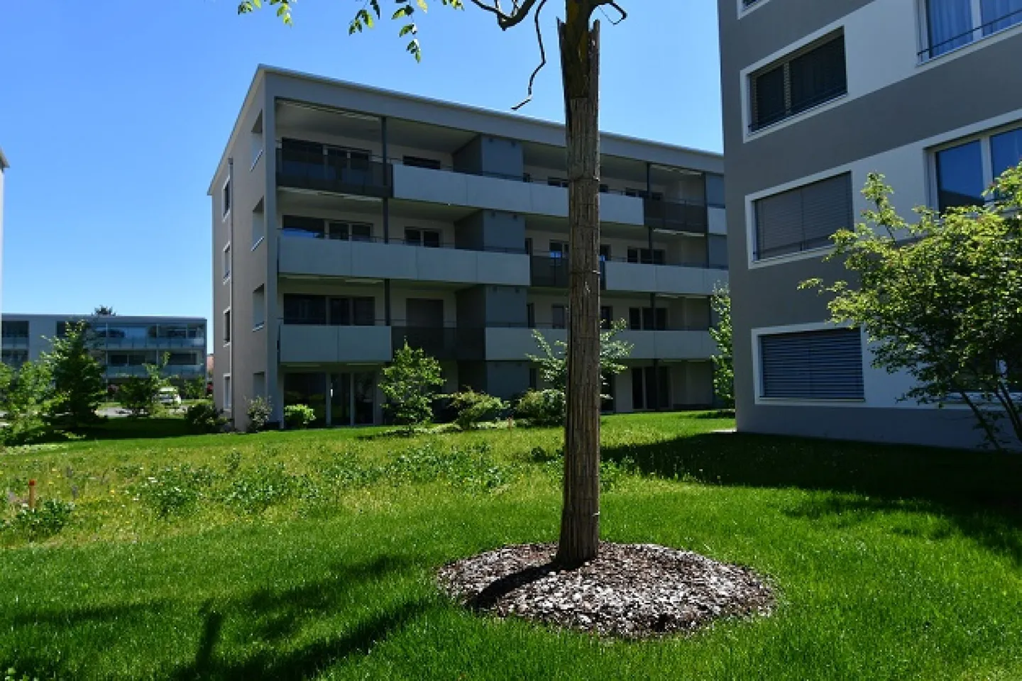 Moderne Gartenwohnung in Eschlikon - Foto 2 von 6
