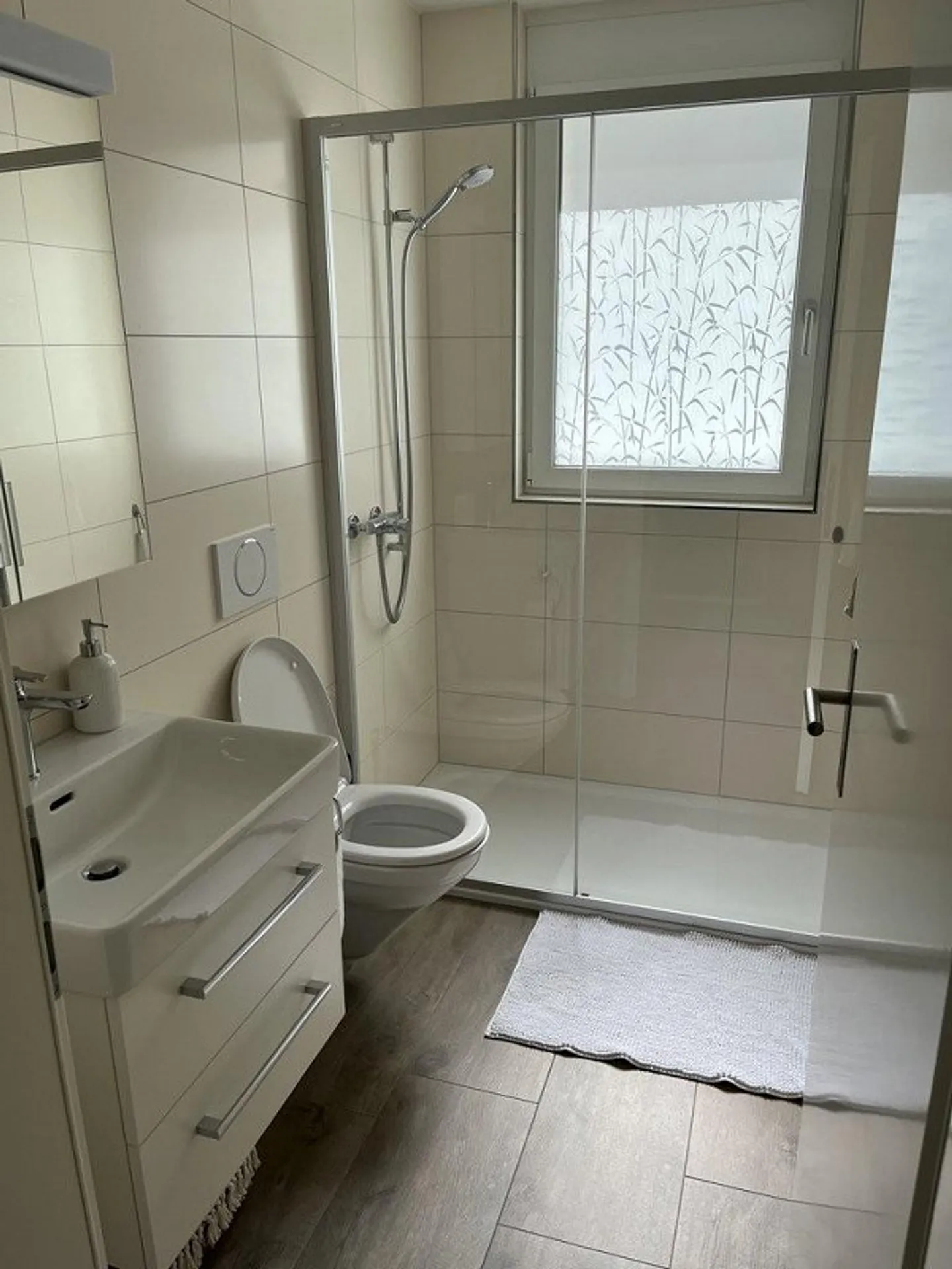 Modern Living near the Aare - Photo 3 of 9