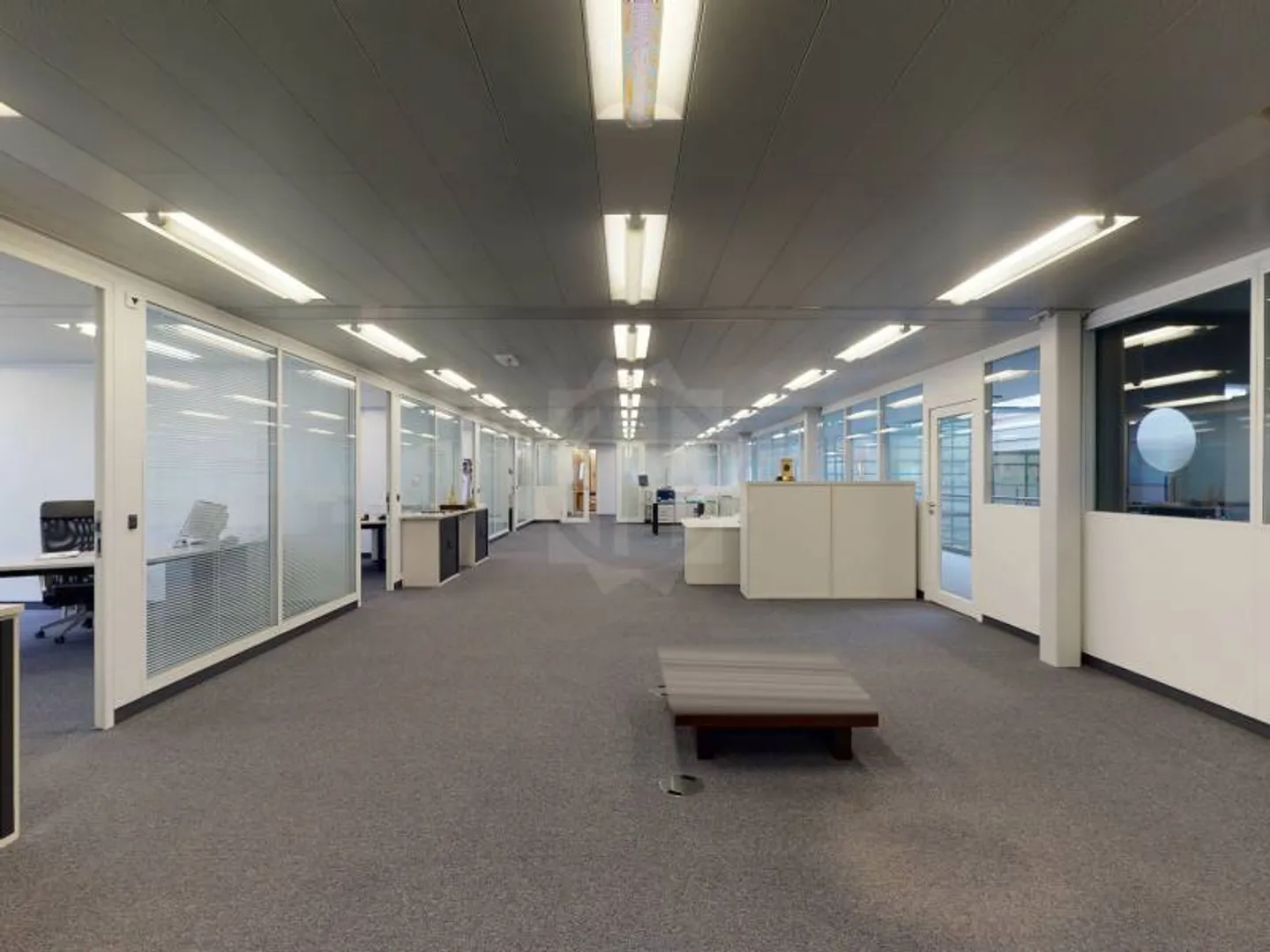 Superficie Industriale Spaziosa - Meyrin - Foto 2 di 7