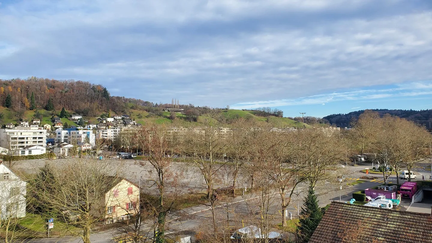 Appartement lumineux avec vue sur les Alpes & terrasse sur le toit commune - Photo 7 sur 7