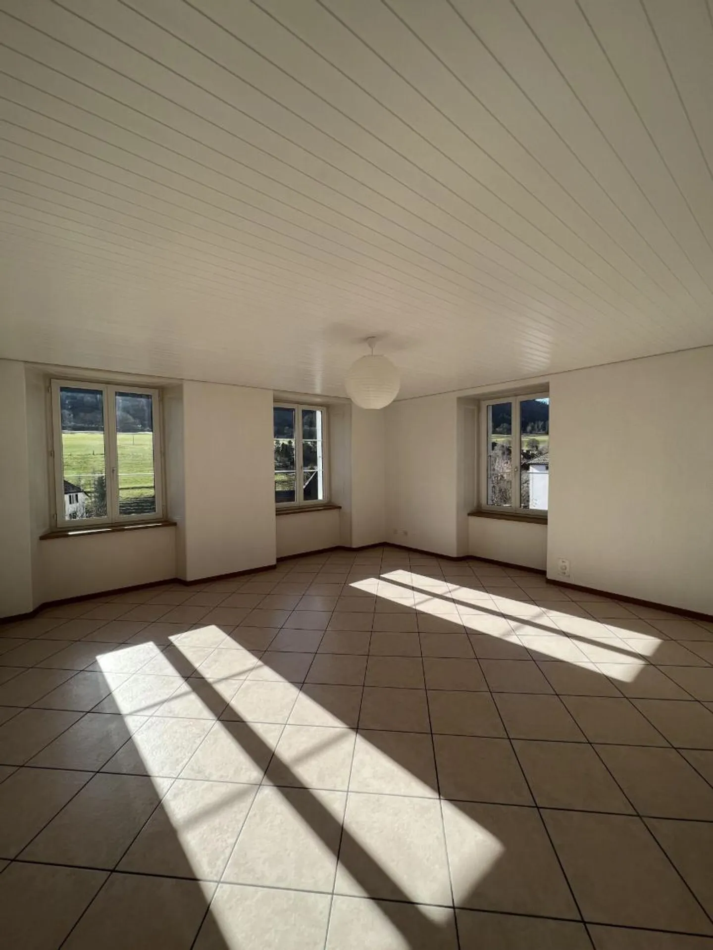 Beautiful 3.5-room apartment on the 2nd floor with modern kitchen in Sonvilier - Photo 4 of 8