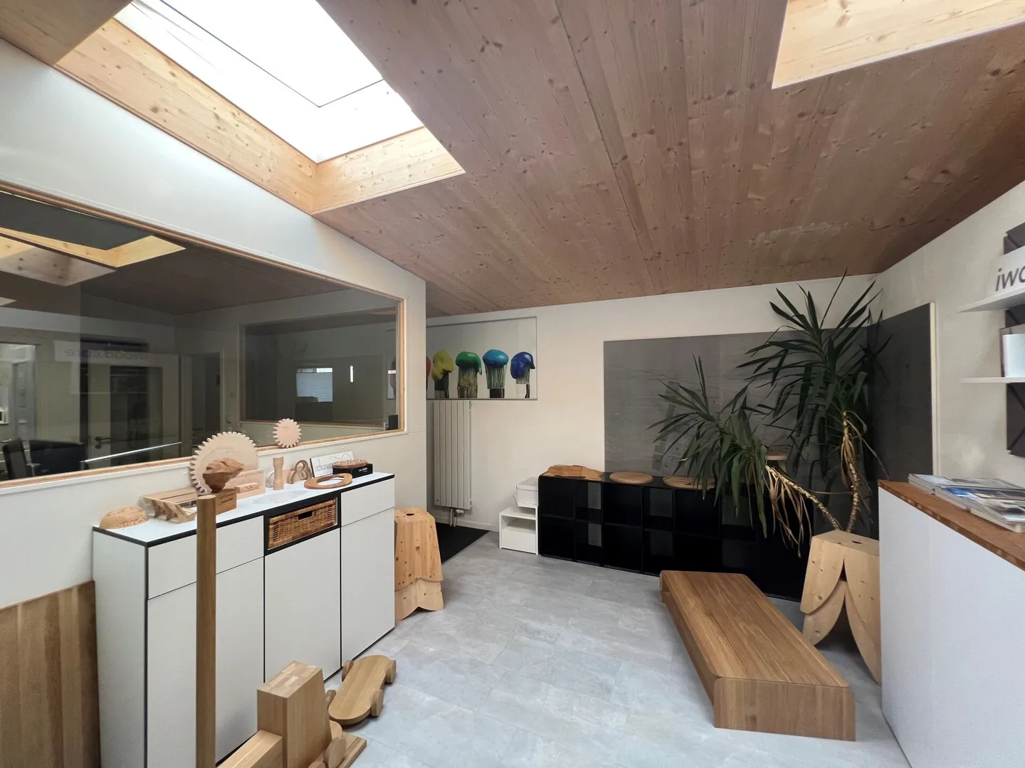 Saint-Blaise - Grande officina con uffici e showroom annesso a una casa di 2 - Foto 8 di 18