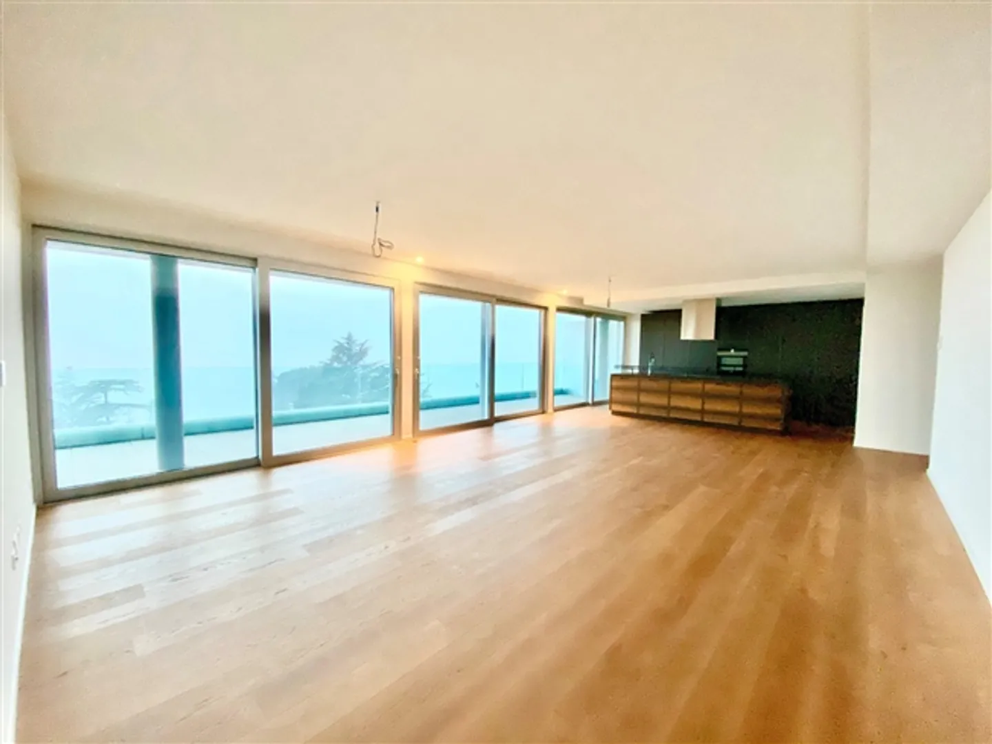 Penthouse 4.5 Rooms and Apartment with Pool and Garden in Bissone, Switzerland - Photo 4 of 10