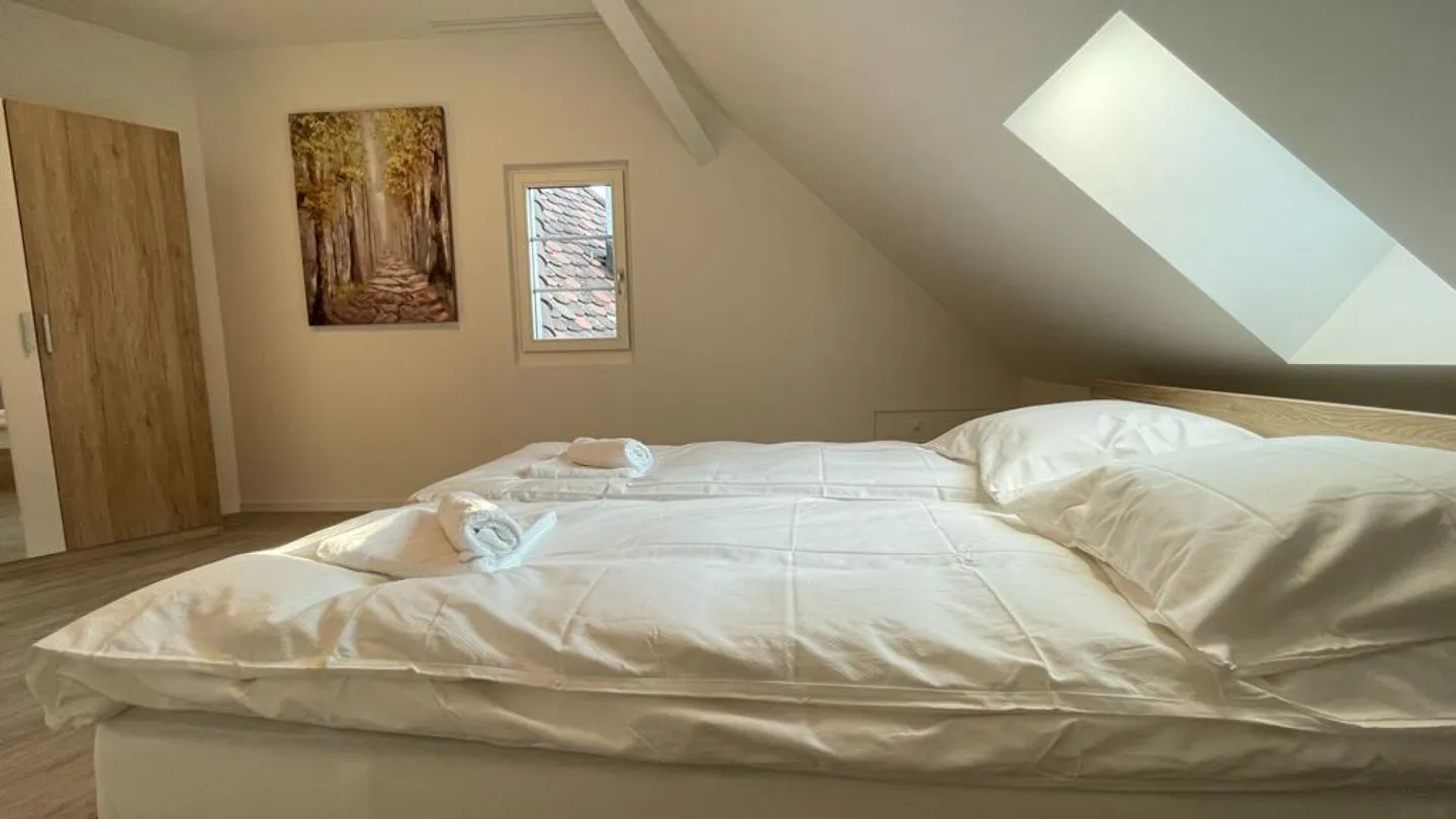 Moderno appartamento di 2,5 locali a Sciaffusa - Foto 3 di 7