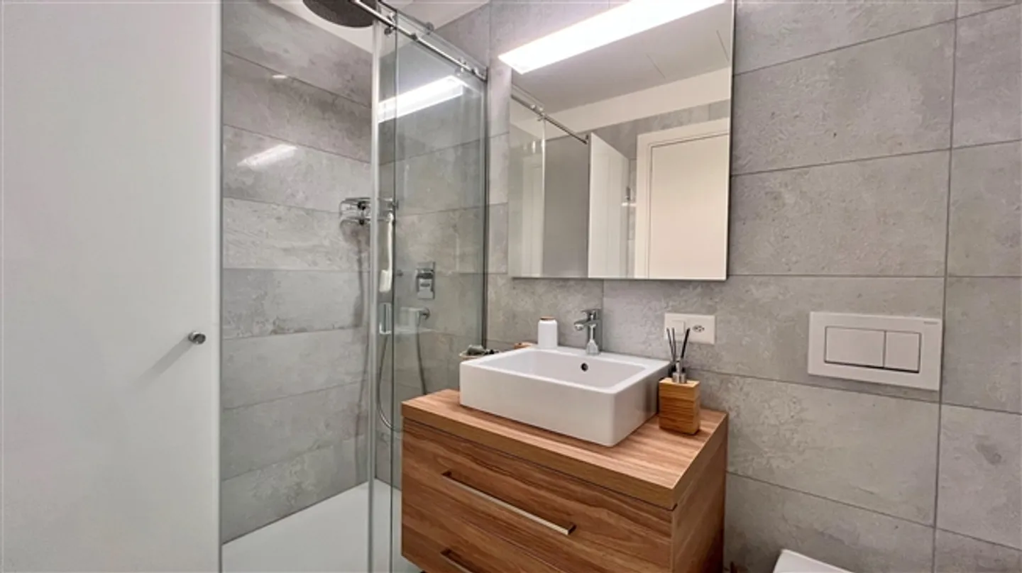 4.5-Room Apartment 7 km from the Center of Lugano Switzerland - Photo 12 of 17