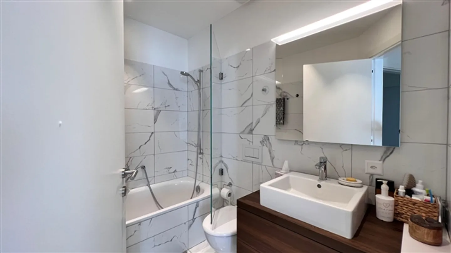 4.5-Room Apartment 7 km from the Center of Lugano Switzerland - Photo 15 of 17