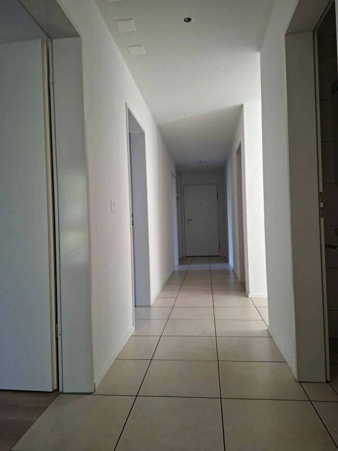 Stai cercando un appartamento al piano terra di 4,5 stanze? Dai un'occhiata! - Foto 7 di 7