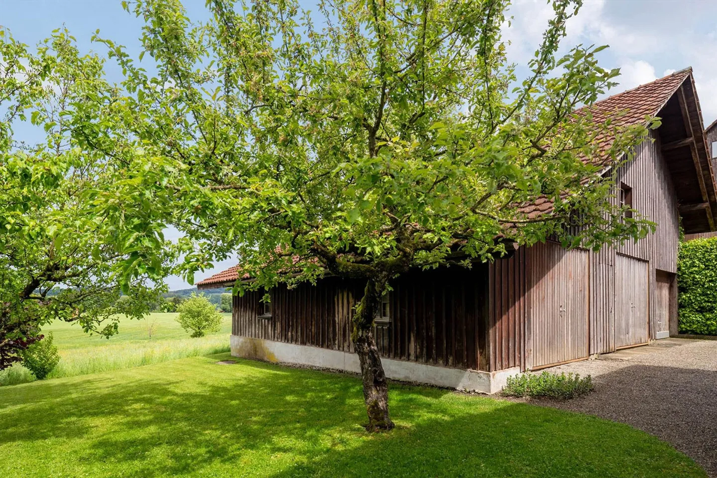 Terrain à bâtir avec potentiel à Wildberg - acheter 1'162 m² - Photo 4 sur 9