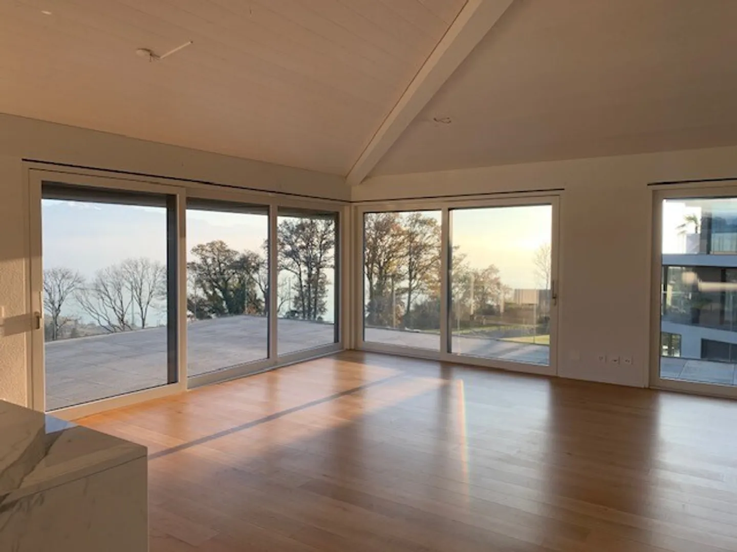 Magnificent 4.5 room penthouse with a view - Photo 2 of 12