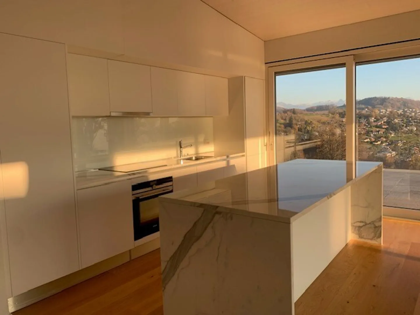 Magnificent 4.5 room penthouse with a view - Photo 3 of 12
