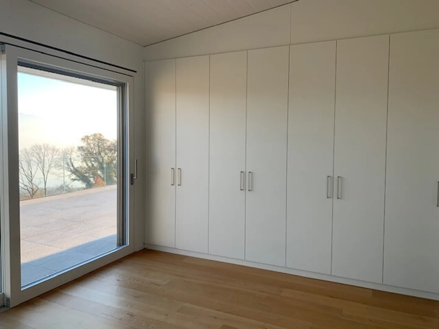 Magnificent 4.5 room penthouse with a view - Photo 5 of 12