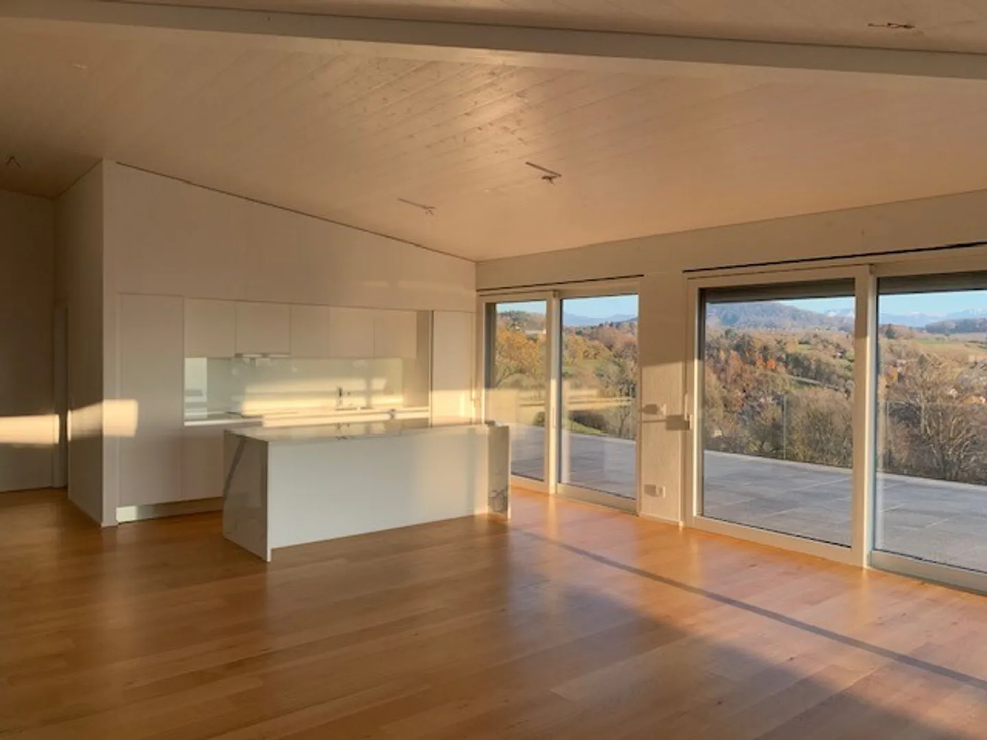 Magnificent 4.5 room penthouse with a view - Photo 1 of 12