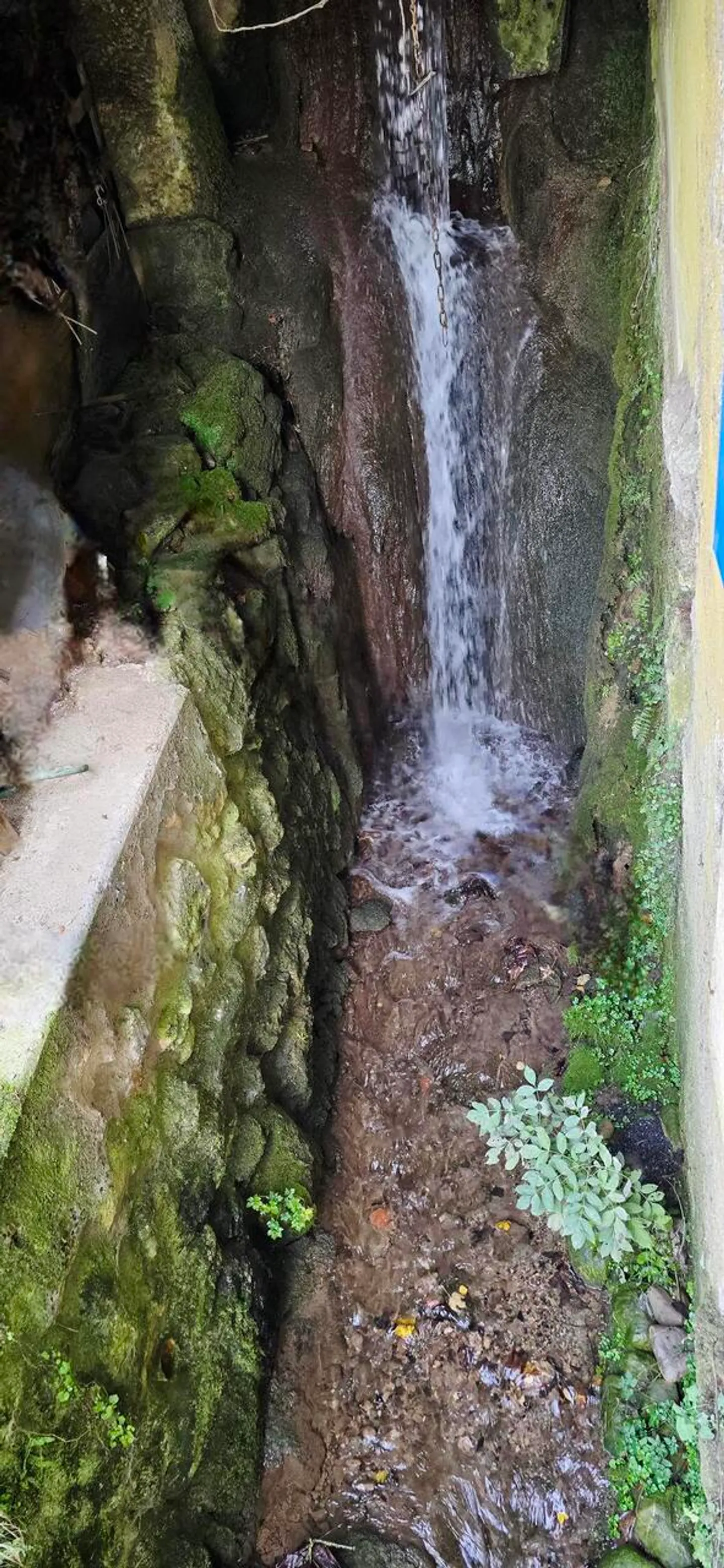 Magnifique maison individuelle à vendre - Photo 18 sur 21