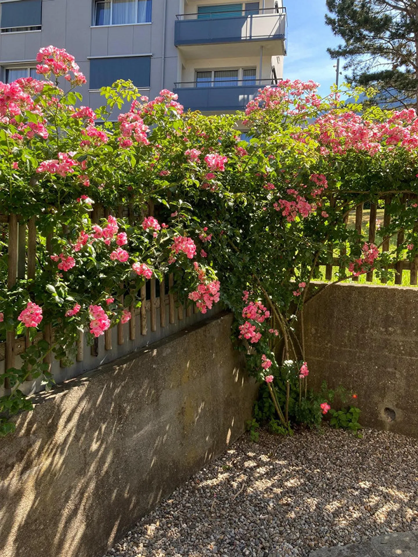 Appartamento soleggiato di 5 1/2 stanze nella migliore posizione a Chur - Foto 2 di 15