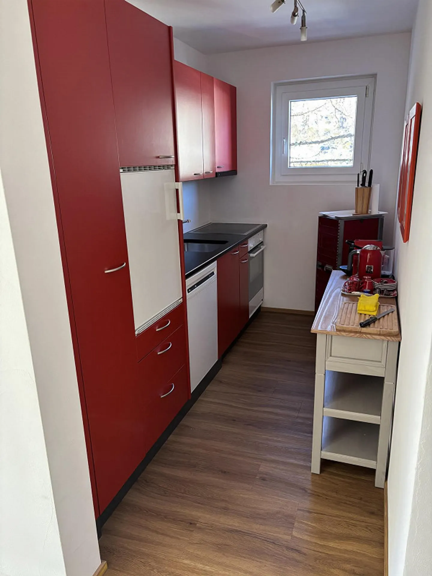 Freshly renovated 3.5 room apartment for rent in Zermatt - Photo 9 of 16