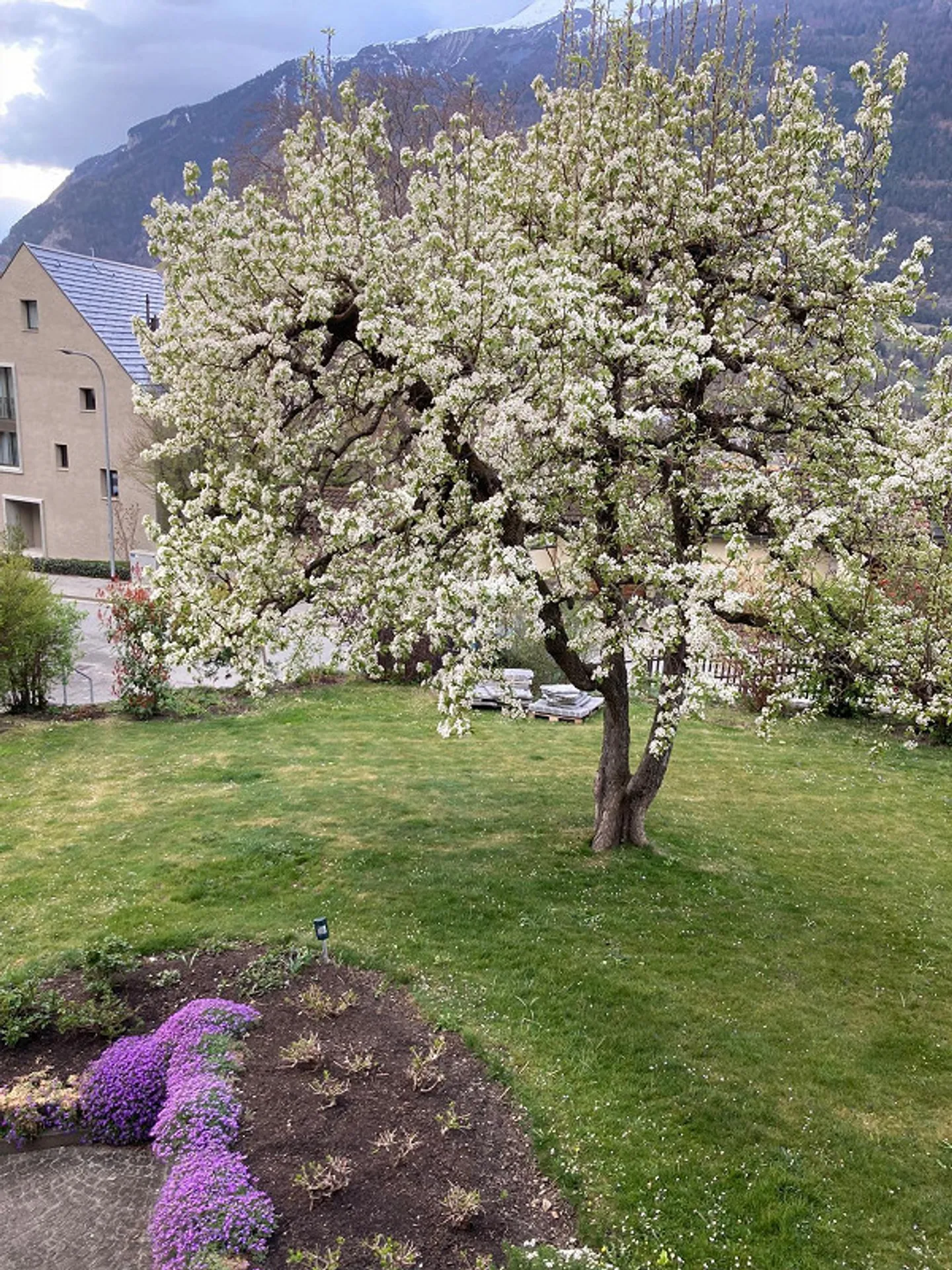 Appartamento soleggiato di 5 1/2 stanze nella migliore posizione a Chur - Foto 13 di 15