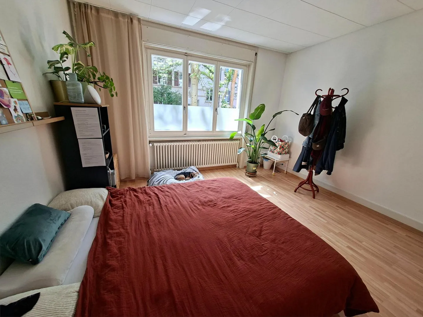 Chambre en colocation à Biel directement à la gare - Photo 2 sur 5