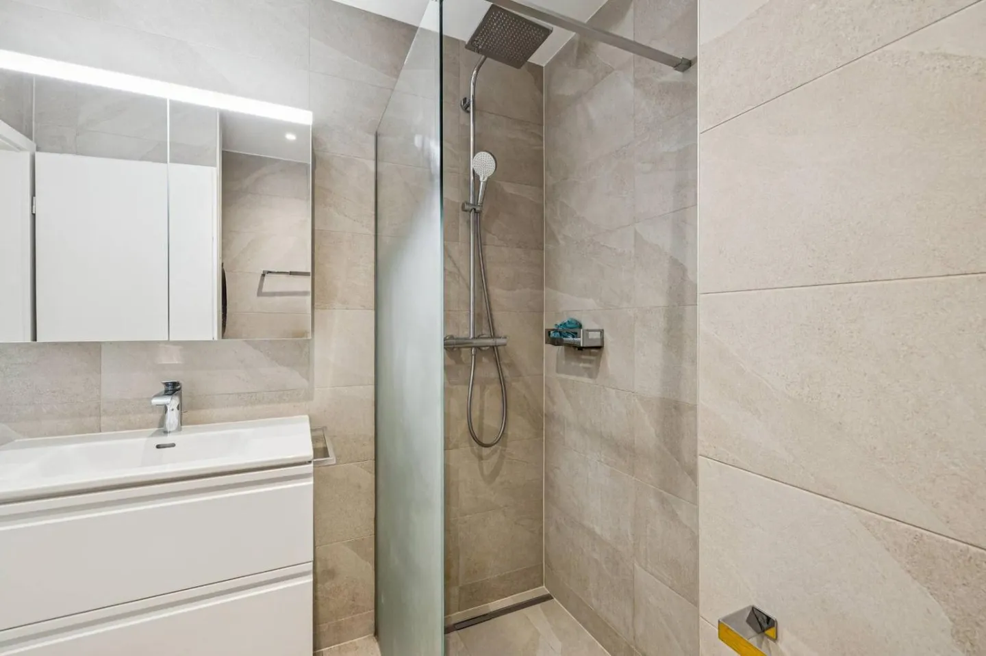 Magnifico appartamento 4.5 stanze con grande terrazza e giardino privato a Ecublens - Foto 9 di 11