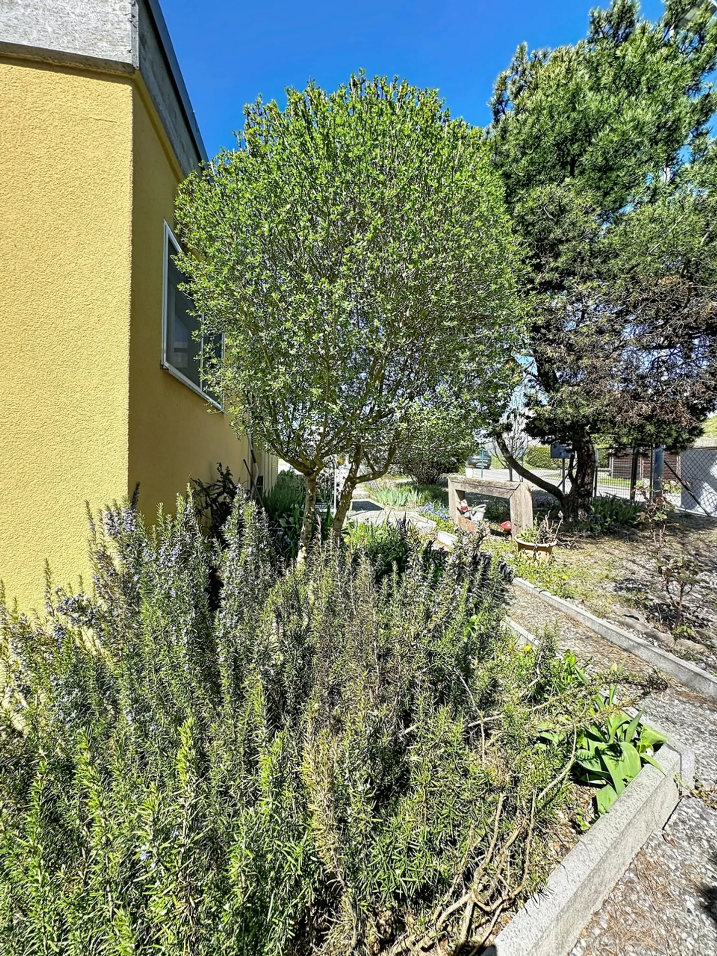 Doppelhaushälfte von 5,5 Zimmern Kürzlich renoviert Ein Steinwurf von allem entfernt! - Foto 3 von 29