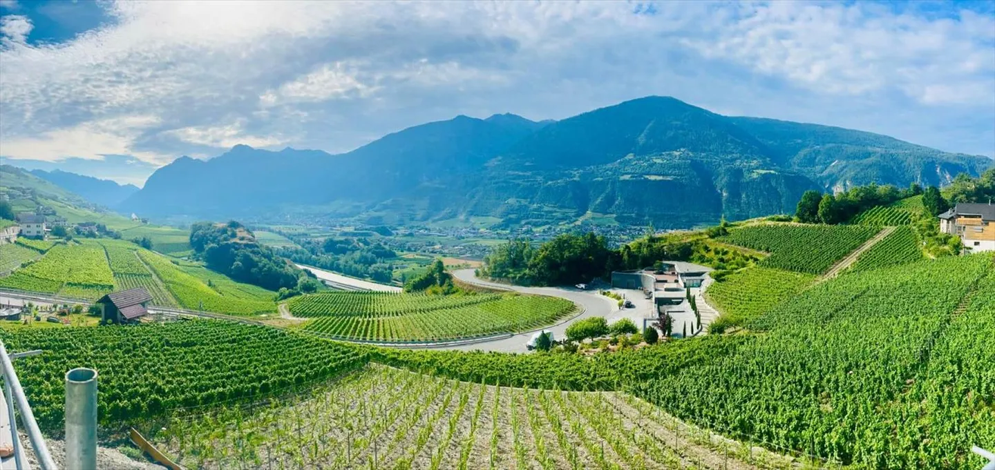 Promotion of 4 Apartments - Photo 2 of 13