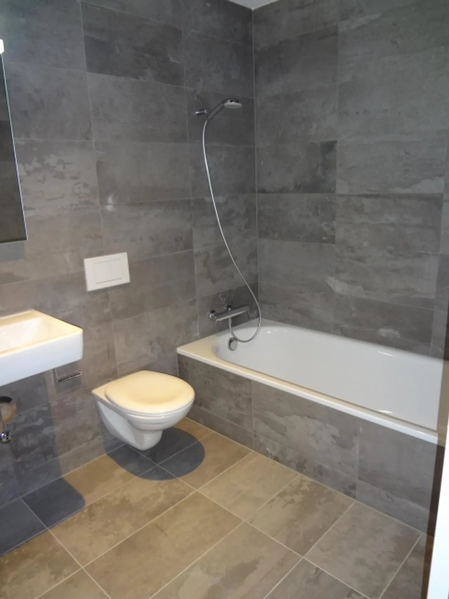 Nuova felicità abitativa a Thun cercasi - Foto 4 di 8