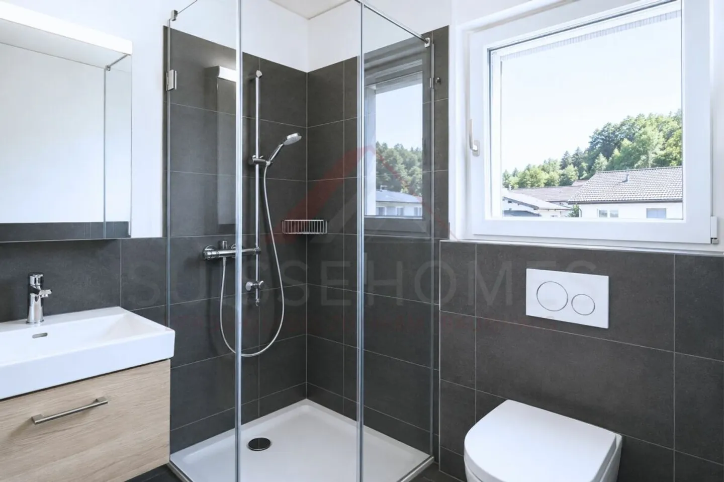 Casa a schiera 5.5 camere nuova con piscina e ampio terreno - Foto 19 di 20