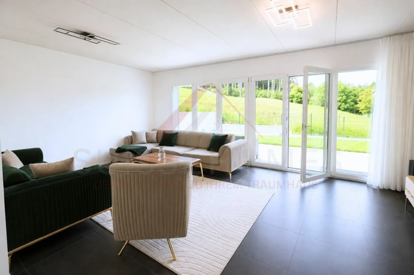 Casa a schiera 5.5 camere nuova con piscina e ampio terreno - Foto 3 di 20