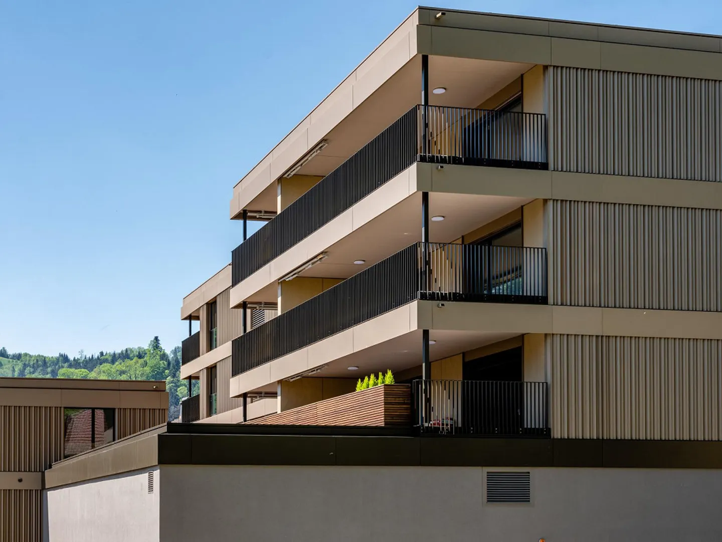 Neues Wohnglück gesucht - Top Moderne 3½- Zimmerwohnung - Photo 2 of 7