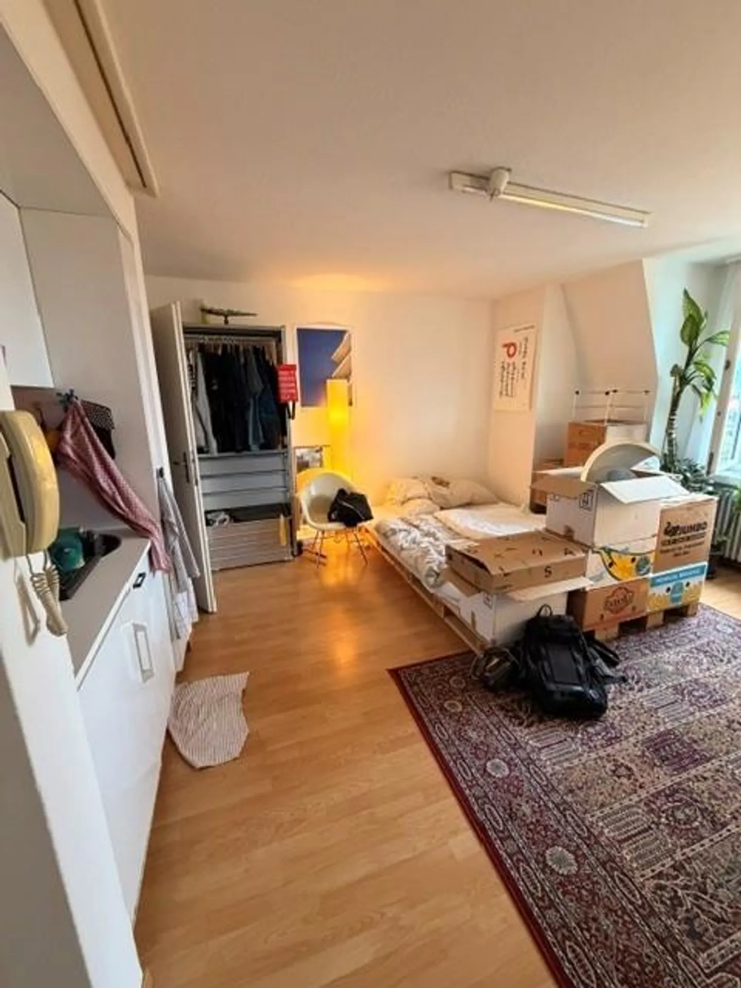 Studio nel quartiere alla moda di Wipkingen - Foto 2 di 5