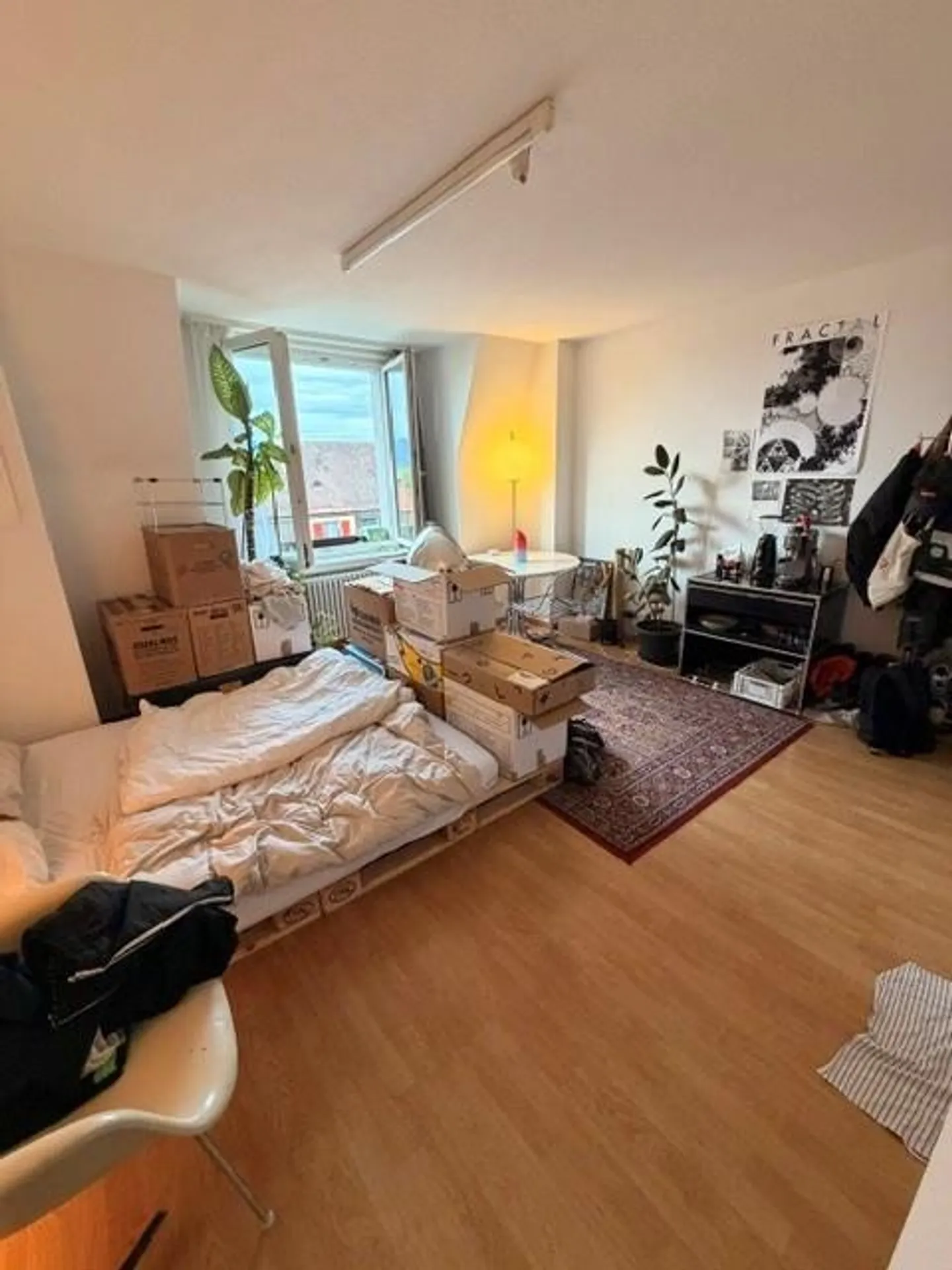 Studio nel quartiere alla moda di Wipkingen - Foto 3 di 5