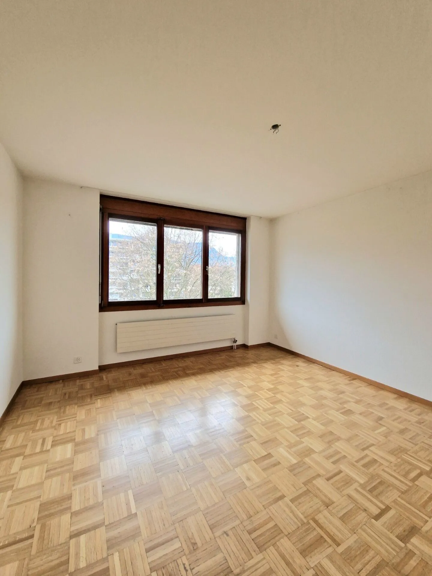 Grande Bella Appartamento Maisonette 4.5 con Terrazza in una Posizione Tranquilla a Solothurn - Foto 8 di 19