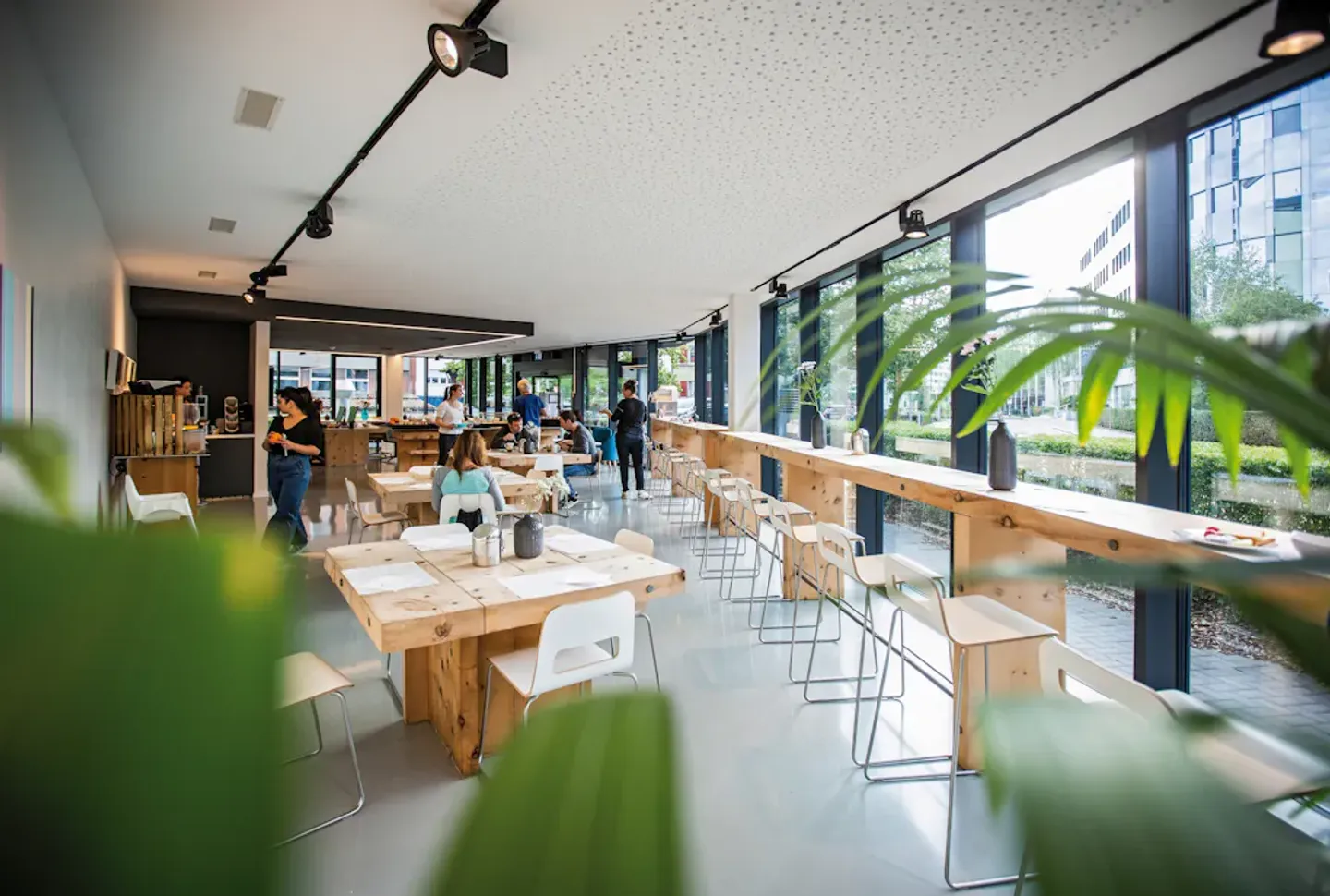 Appartamento in affitto - Foto 9 di 10