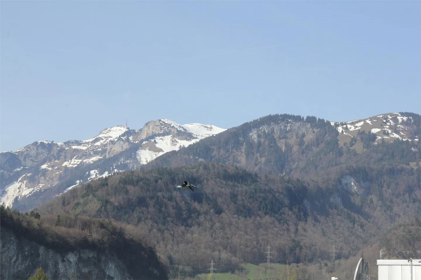 Living in Langenacker / N9a-2513 - Photo 8 of 10