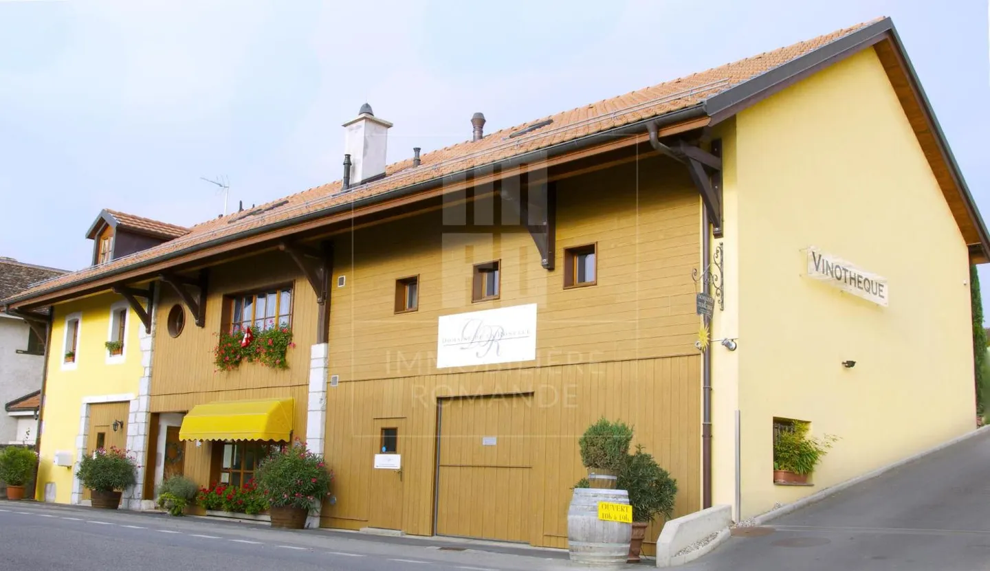 Gemischt genutztes Gebäude 8 Zimmer - Foto 2 von 13