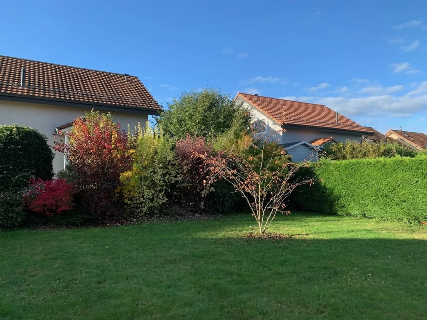 6,5 Zimmer Haus - Foto 3 von 6