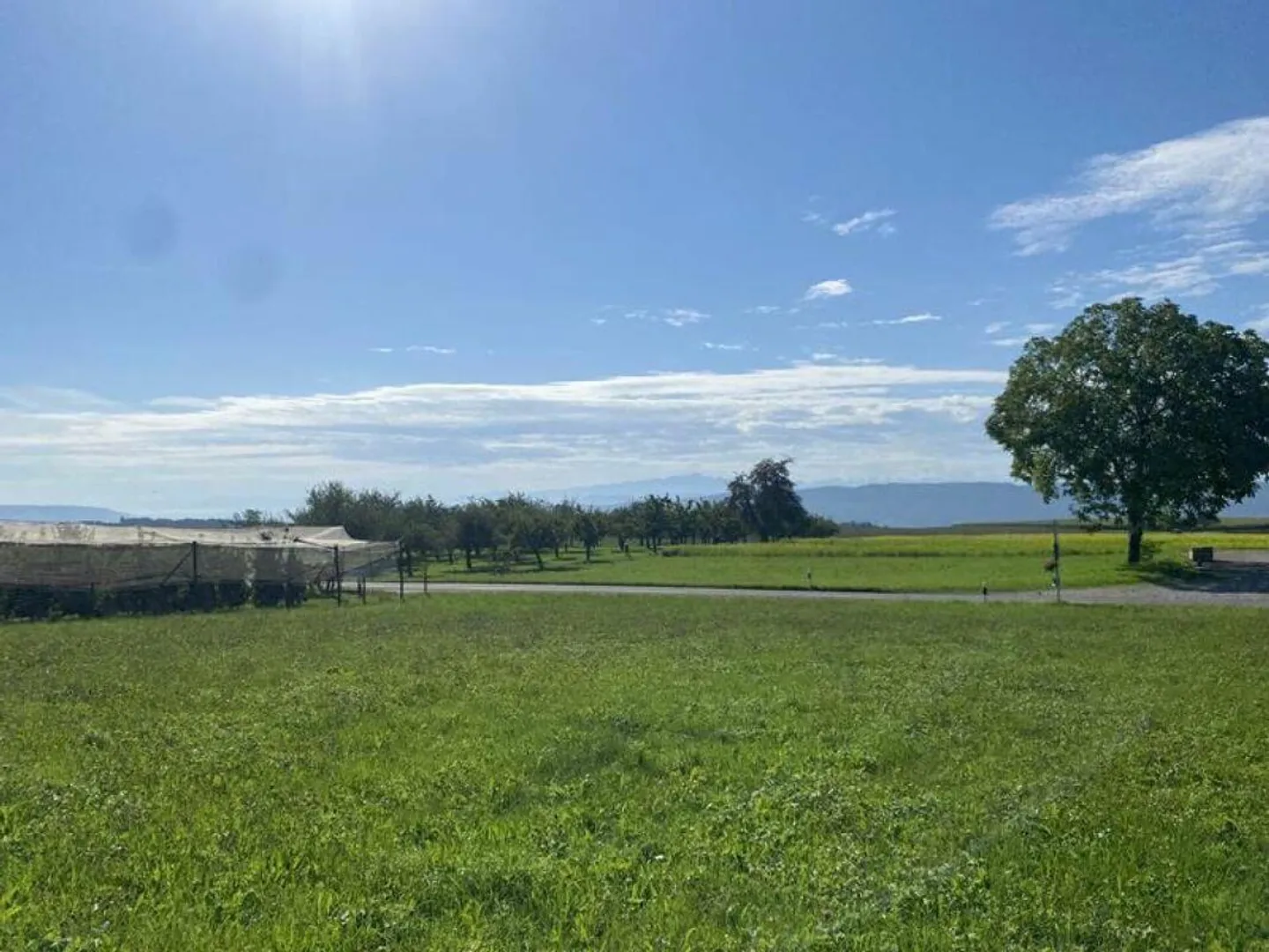 Progetto edilizio approvato per 22 appartamenti vicino a Frauenfeld - Foto 1 di 11