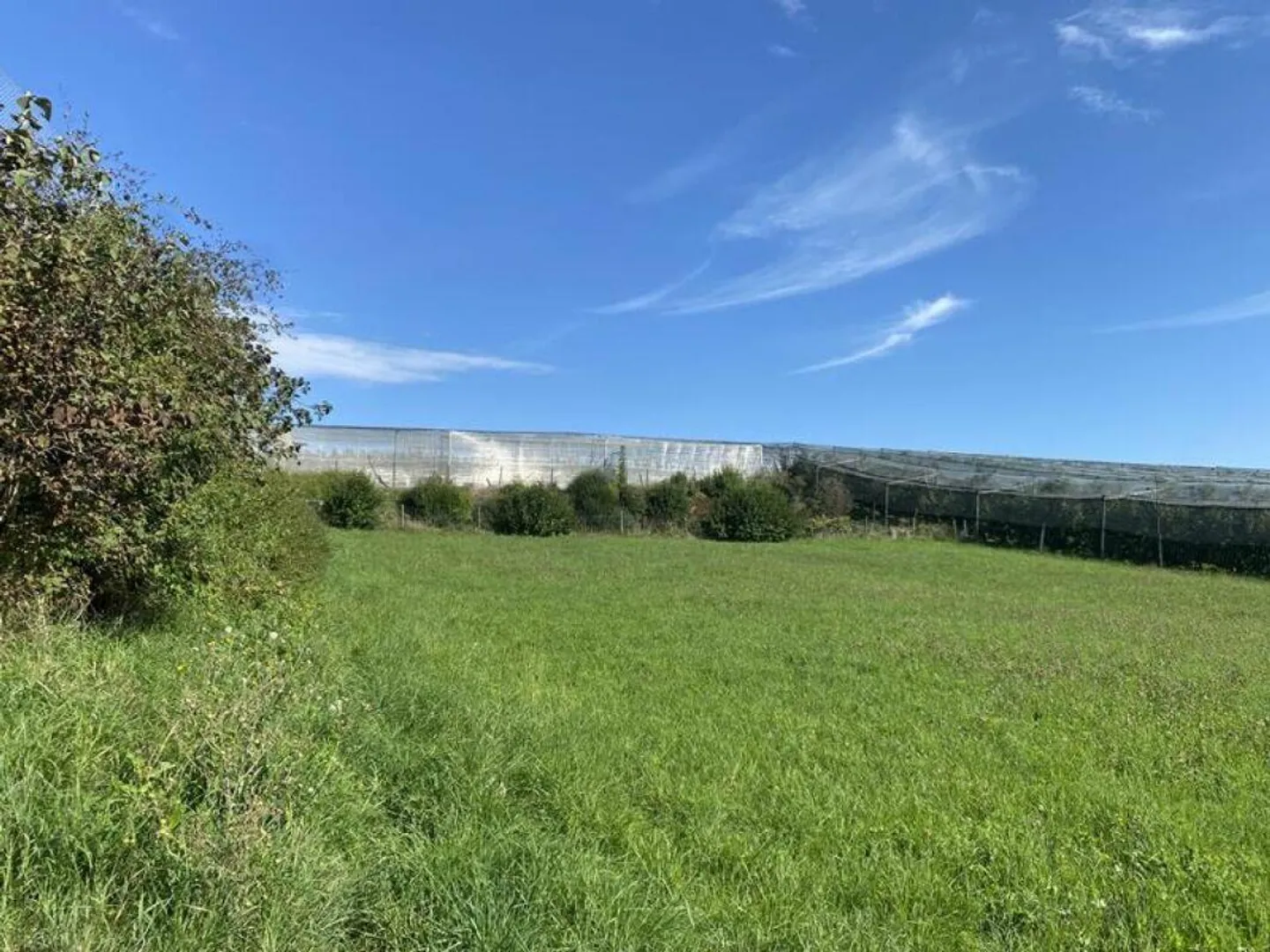 Progetto edilizio approvato per 22 appartamenti vicino a Frauenfeld - Foto 7 di 11