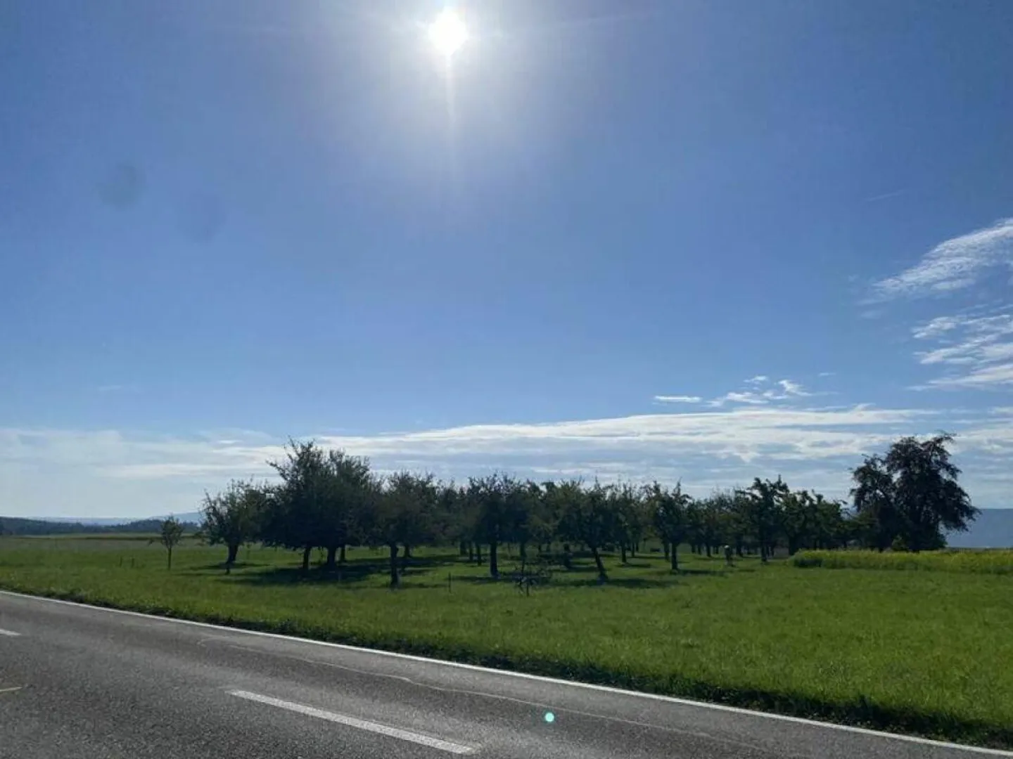 Progetto edilizio approvato per 22 appartamenti vicino a Frauenfeld - Foto 9 di 11