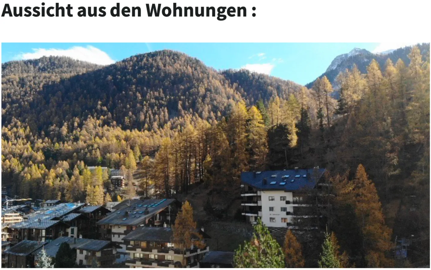 Progetto di nuova costruzione di prima classe a Zermatt con 4 appartamenti duplex - Residenza principale - Résidence principale - Foto 19 di 19