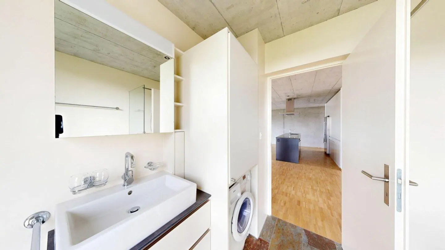 Elegant & modern: Loft apartment with light and charm in Widnau - Photo 6 of 11