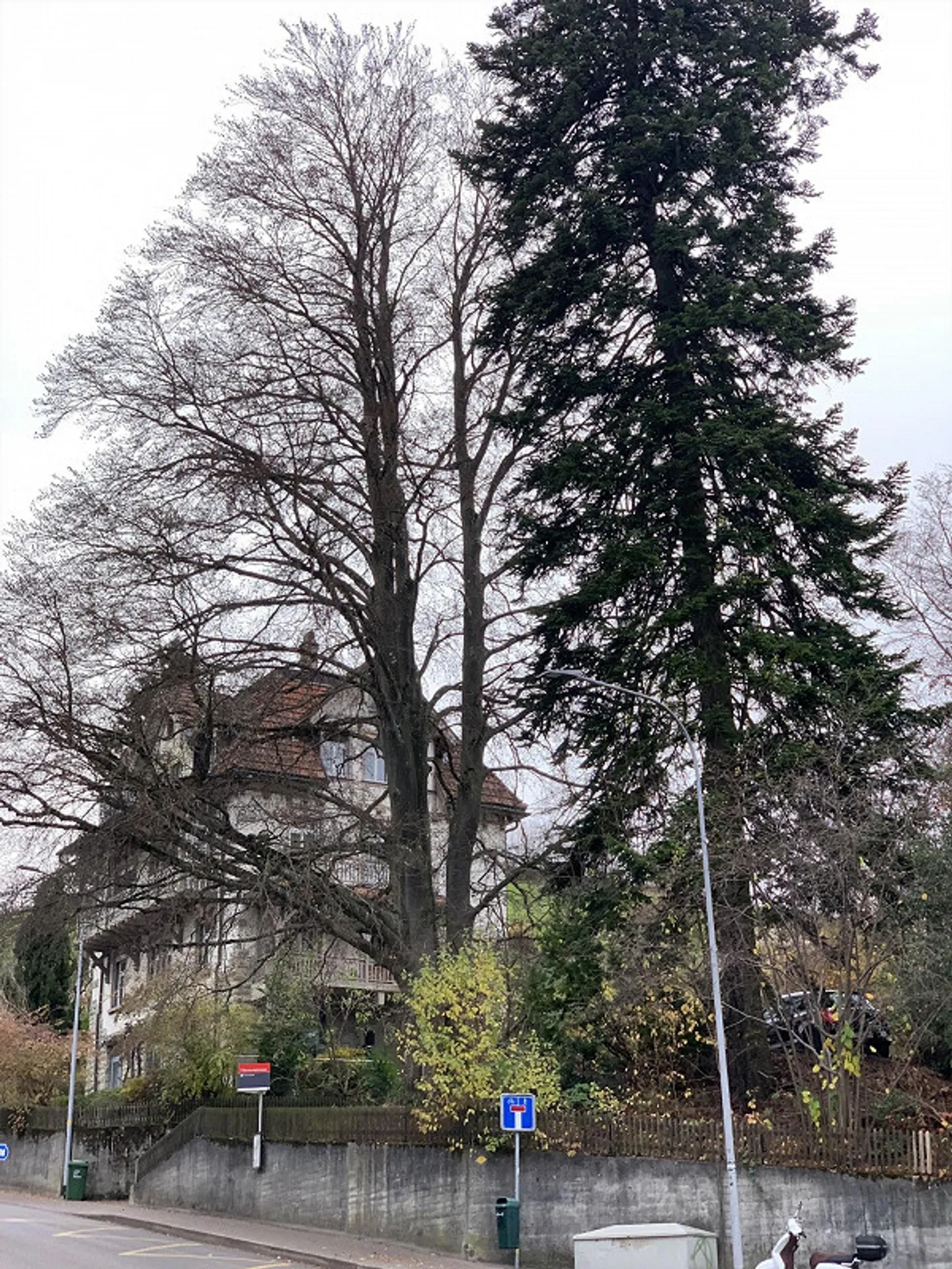 Villa Solitüde Appartamento 4 stanze con veranda e area giardino - Foto 7 di 21