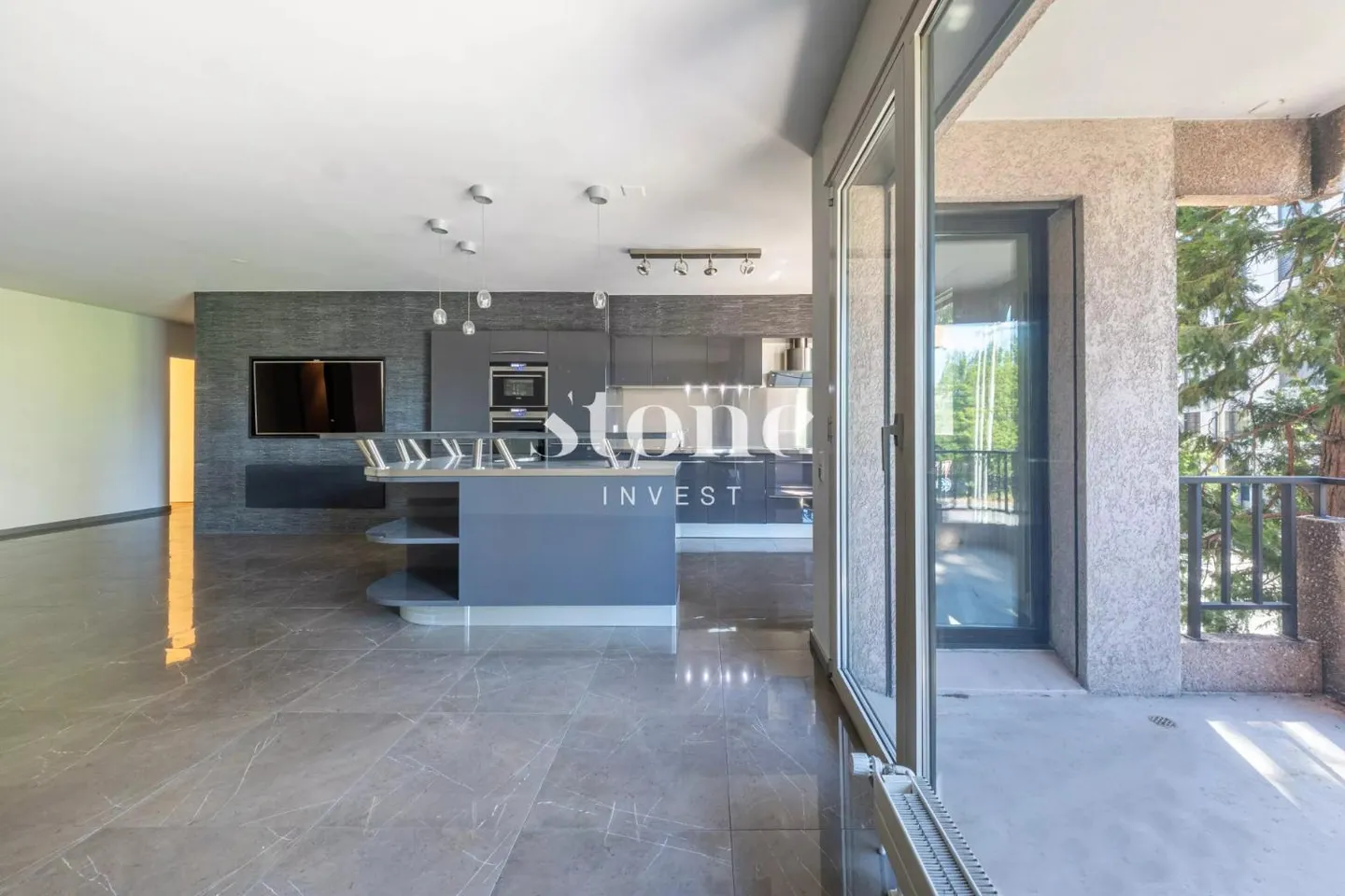 Magnifique appartement de 5 pièces de 140m2 à Carouge - Photo 4 sur 12