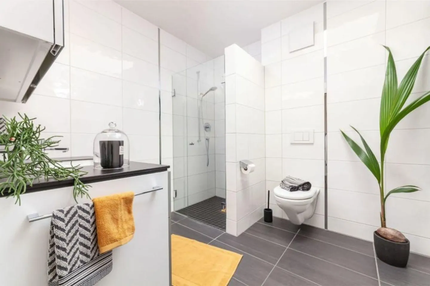 170m2 Terrace - Excellent View in Rheinfelden - Photo 8 of 17