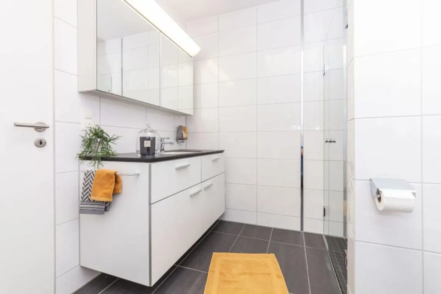 170m2 Terrace - Excellent View in Rheinfelden - Photo 10 of 17