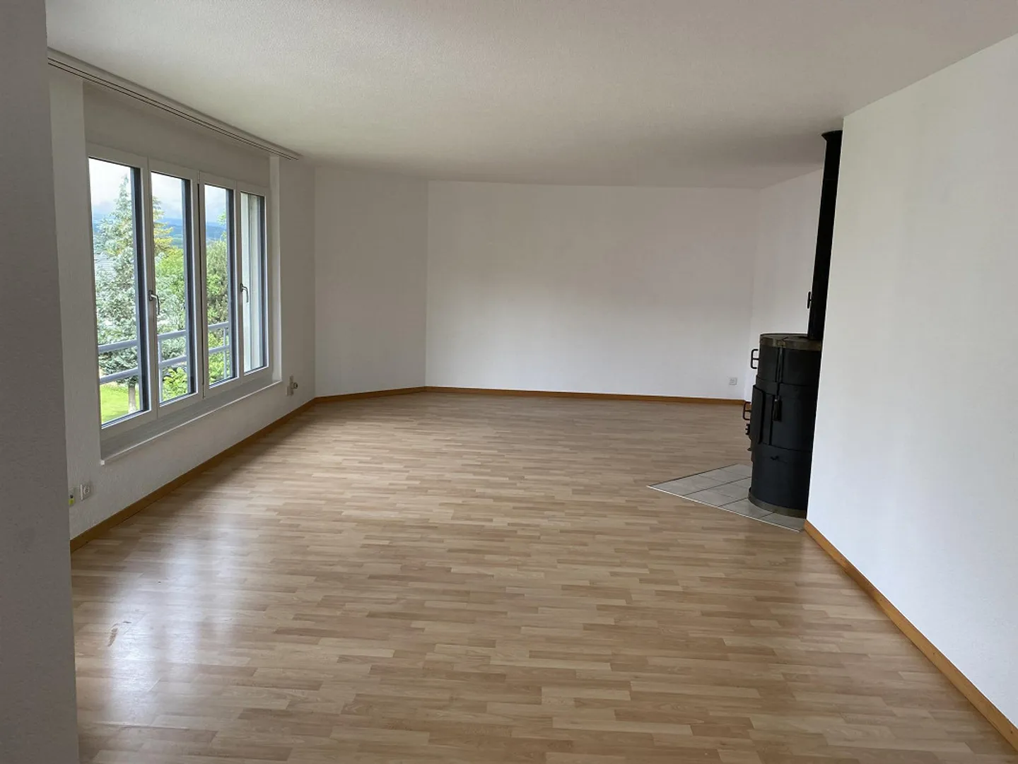 Appartamento 4,5 stanze recentemente ristrutturato con nuova cucina e nuovi bagni - Foto 2 di 20