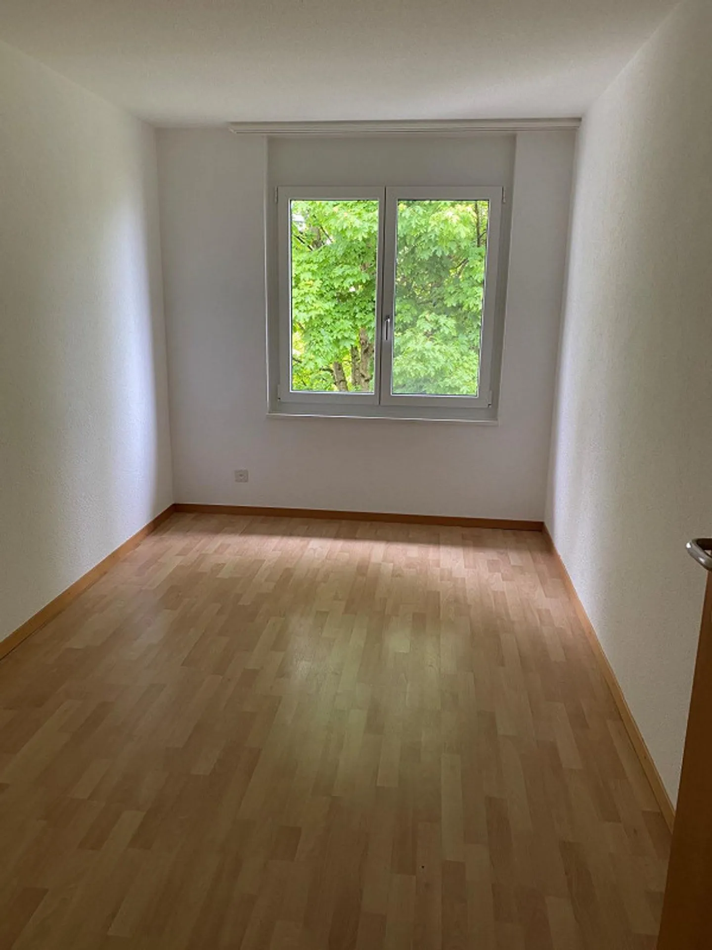 Appartamento 4,5 stanze recentemente ristrutturato con nuova cucina e nuovi bagni - Foto 6 di 20