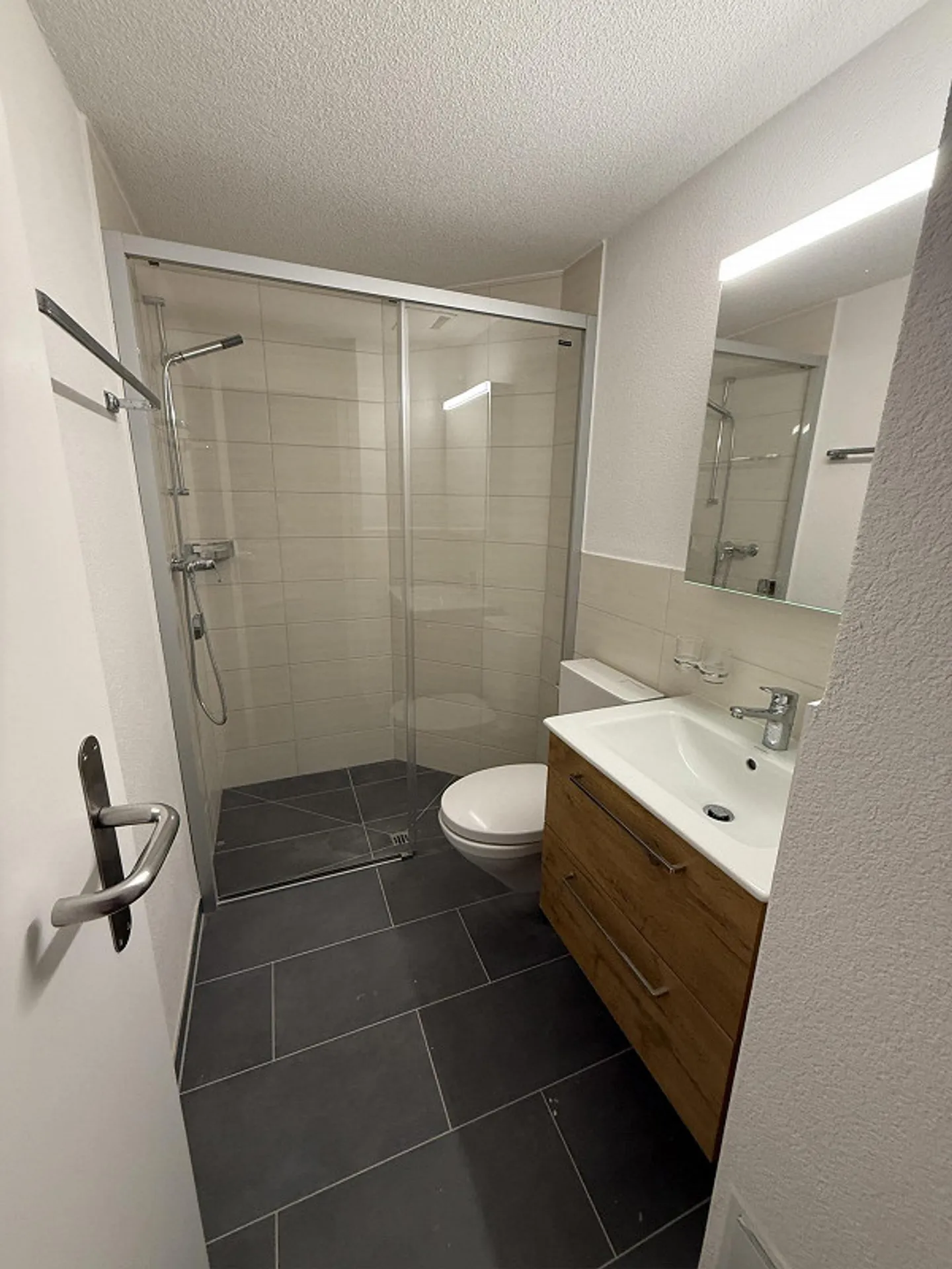 Appartamento 4,5 stanze recentemente ristrutturato con nuova cucina e nuovi bagni - Foto 10 di 20