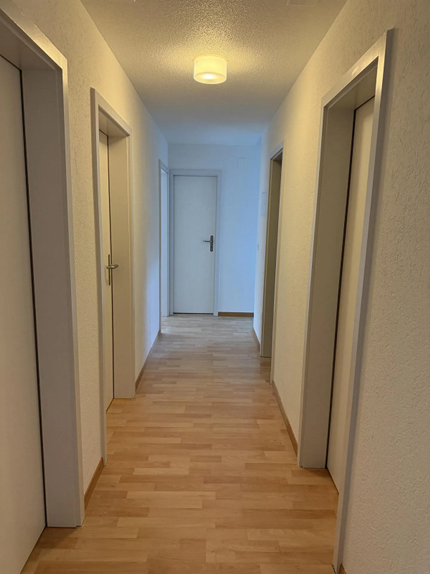 Appartamento 4,5 stanze recentemente ristrutturato con nuova cucina e nuovi bagni - Foto 11 di 20
